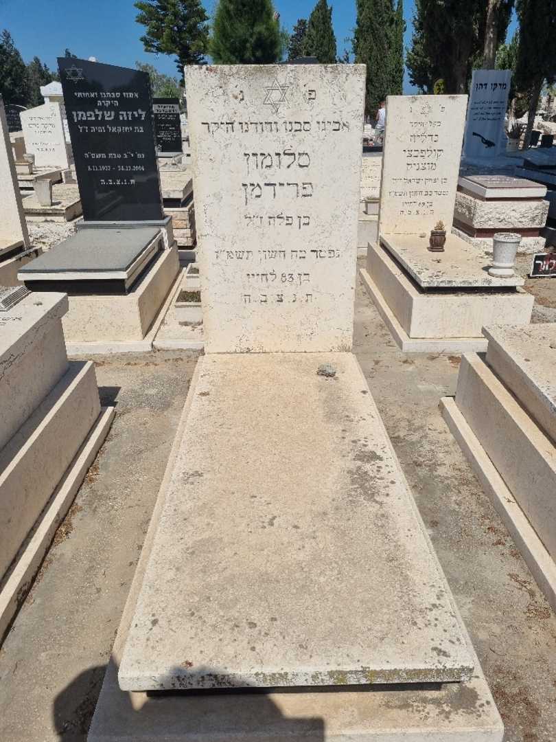 קברו של סלומון פרידמן. תמונה 1