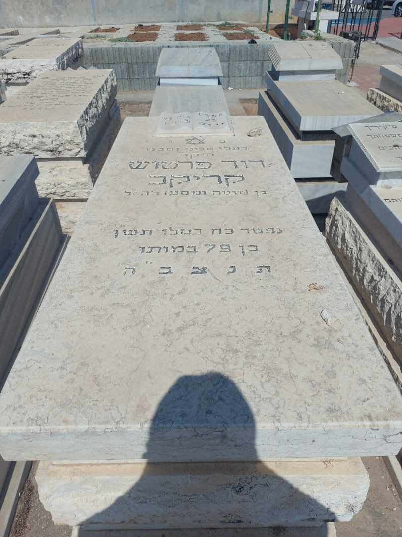 קברו של דוד פרטוש קריקב. תמונה 1
