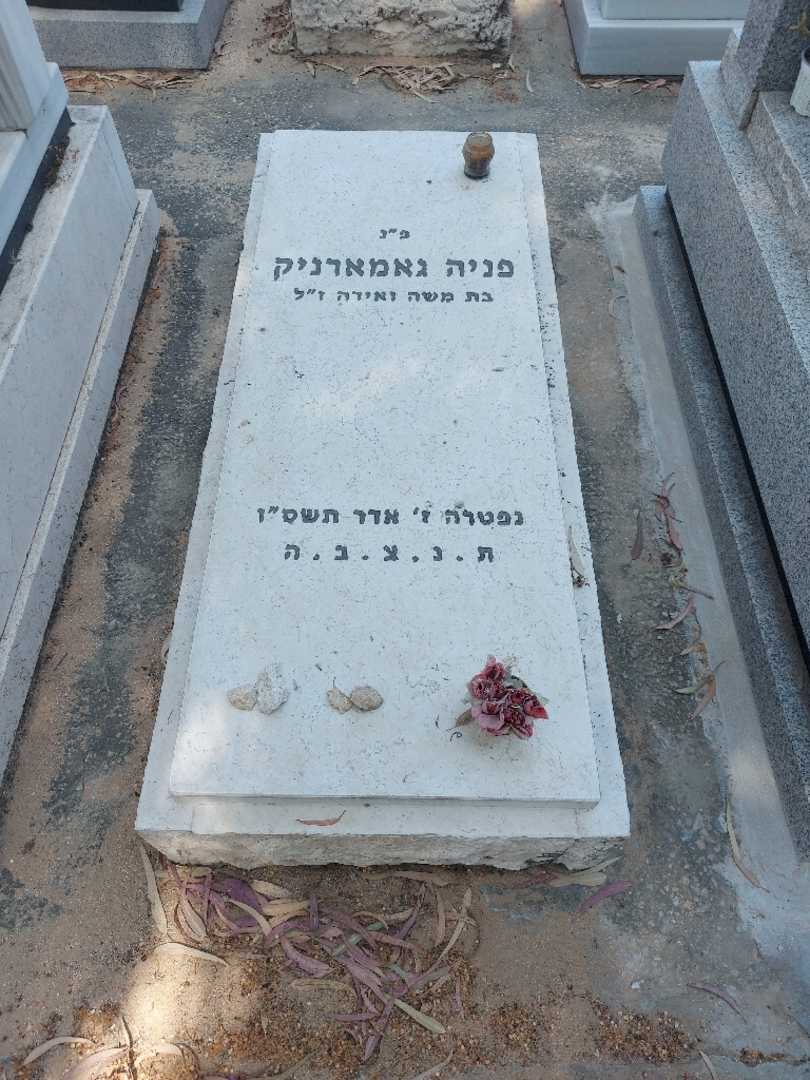 קברו של פניה גאמארניק. תמונה 1