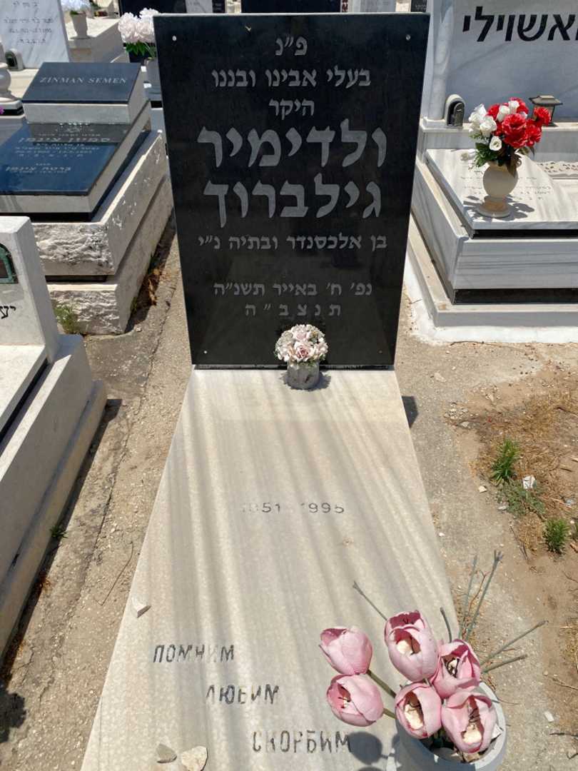 קברו של ולדימיר גלבריך. תמונה 1