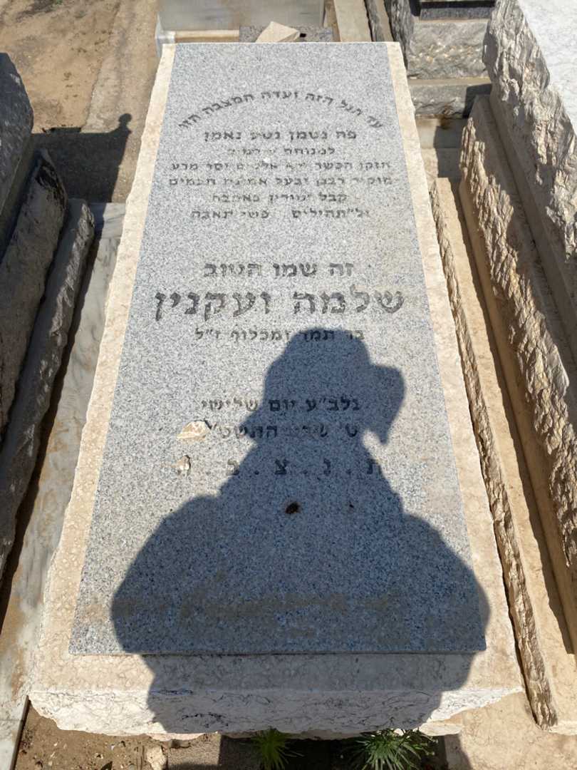 קברו של שלמה ועקנין. תמונה 1