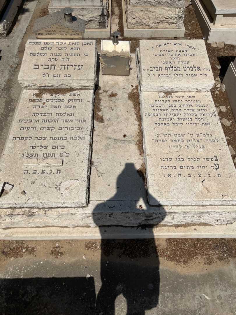 קברו של אלברט מכלו חביב. תמונה 1