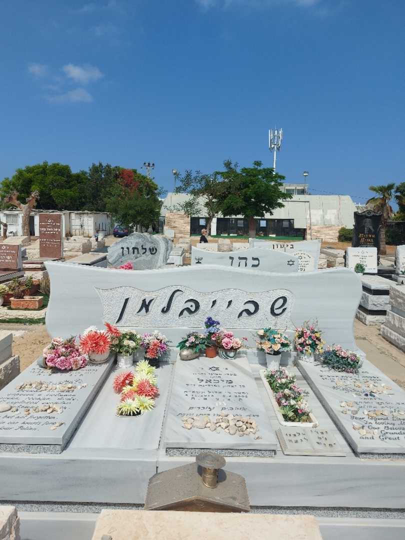 קברו של פולינה שבייבלמן. תמונה 1