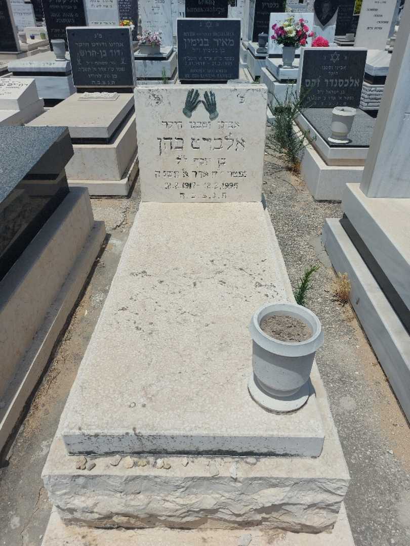 קברו של אלברט כהן. תמונה 1