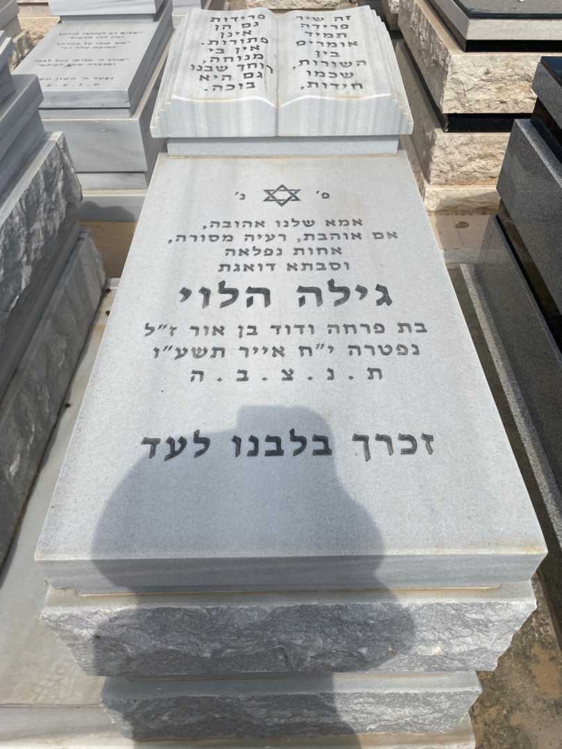 קברו של גילה לוי. תמונה 2