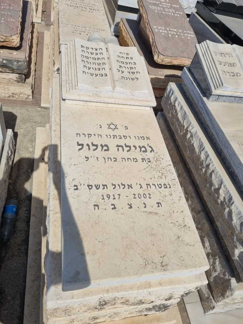 קברו של זמילה מלול. תמונה 1
