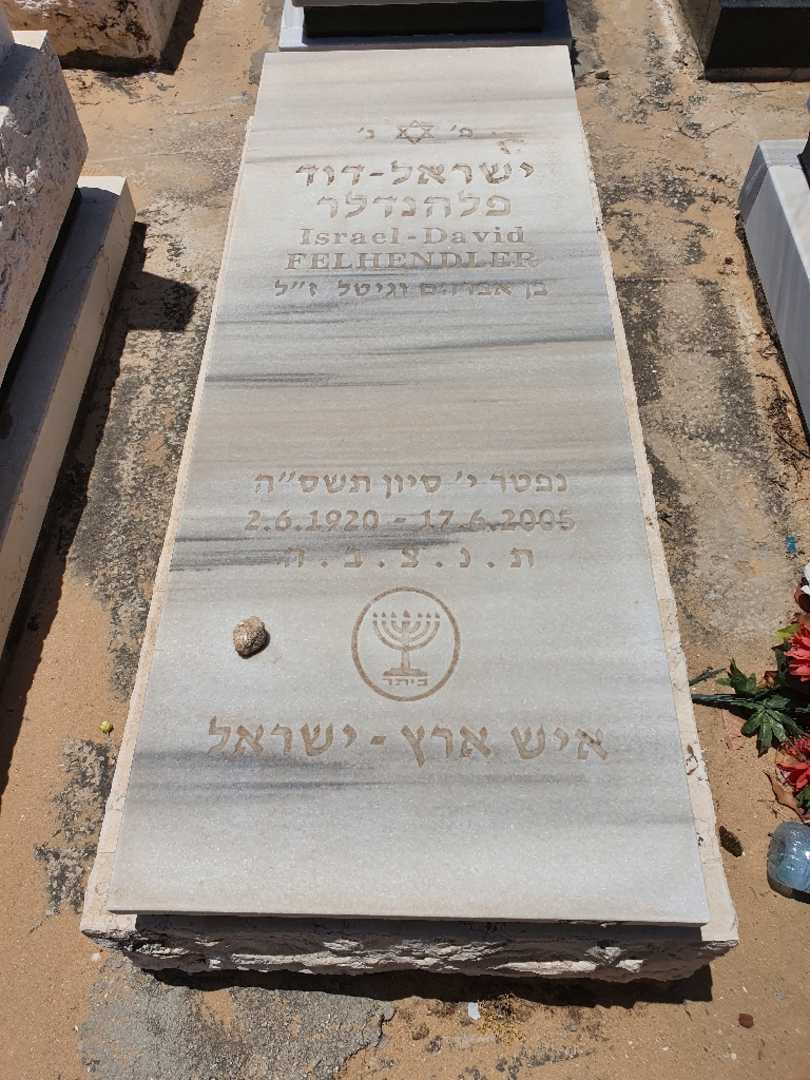 קברו של ישראל דוד פלהנדלר. תמונה 1