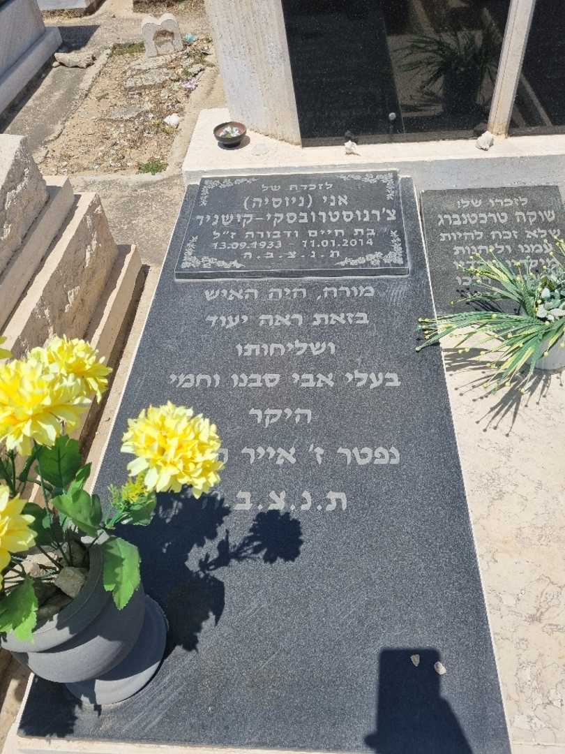 קברו של שוקה טרכטנברג. תמונה 3