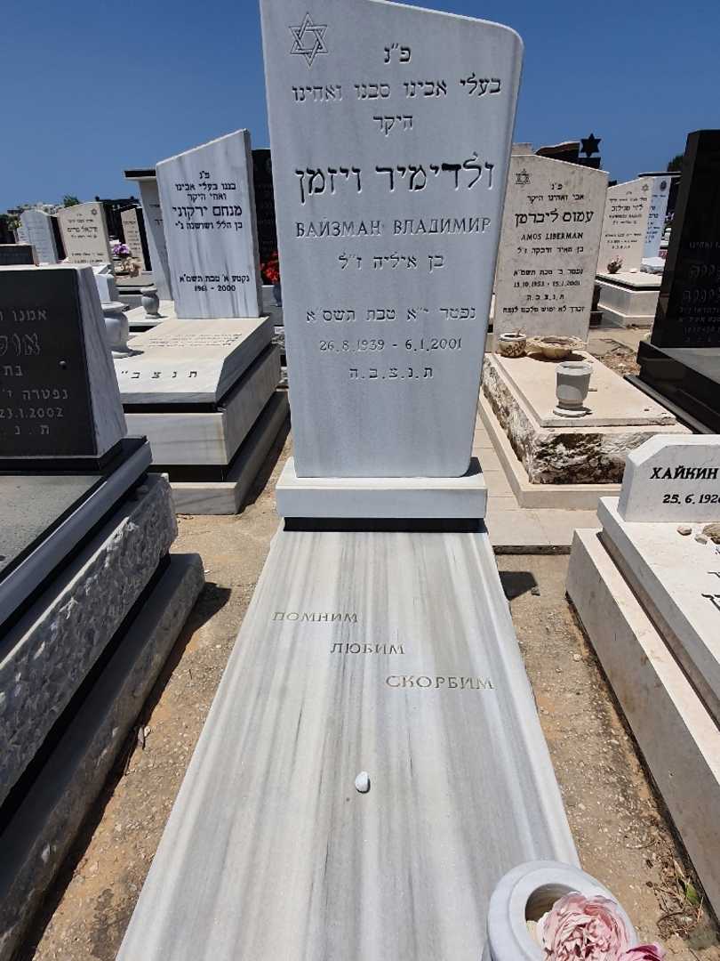 קברו של ולדימיר ויזמן. תמונה 1