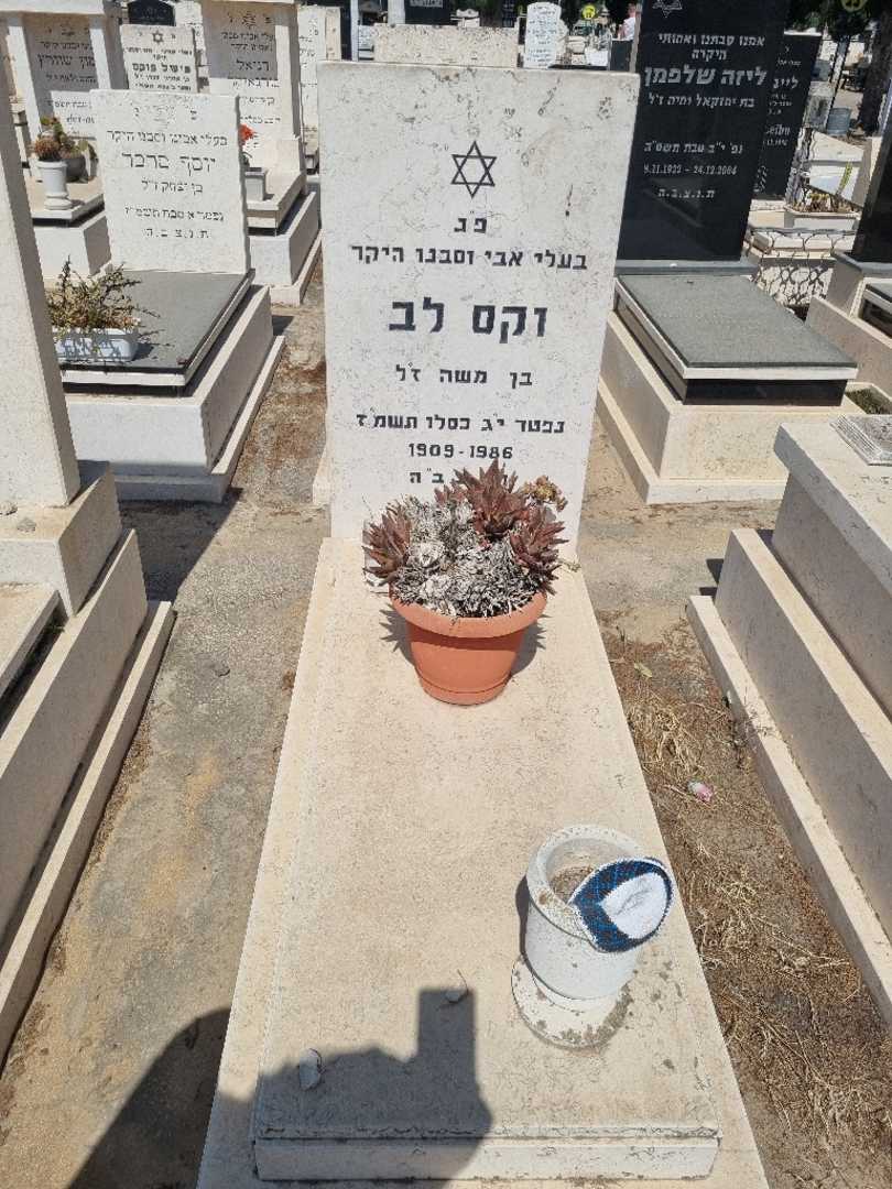 קברו של לב וקס. תמונה 1