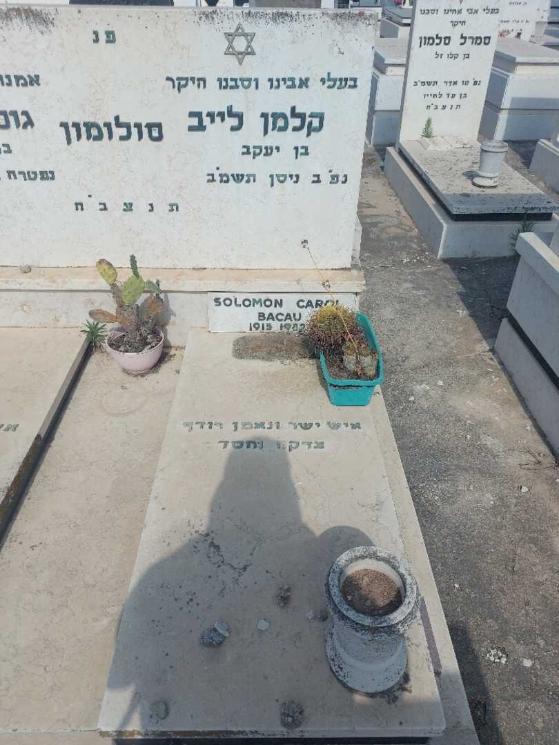 קברו של קרול סולומון. תמונה 1