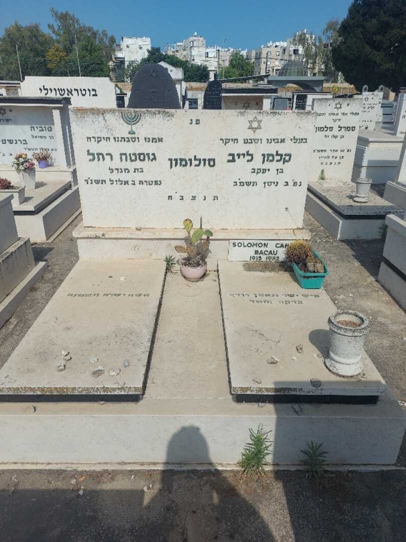 קברו של קרול סולומון. תמונה 2
