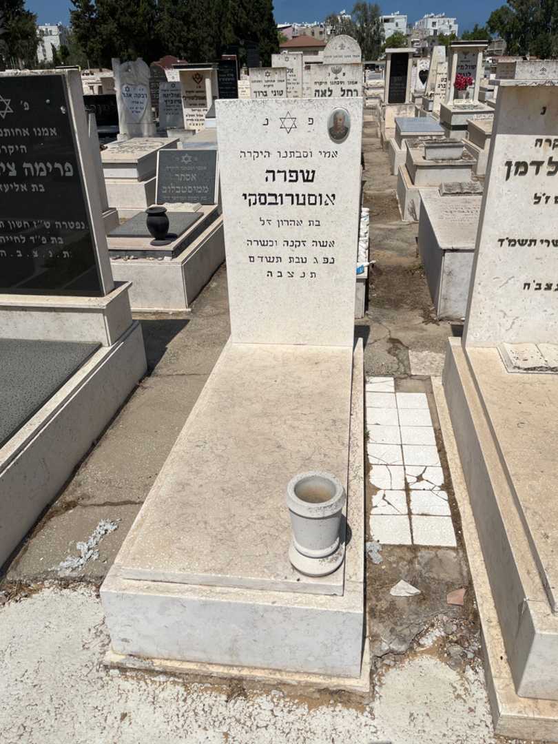 קברו של אלכסנדרה אוסטרובסקי. תמונה 1