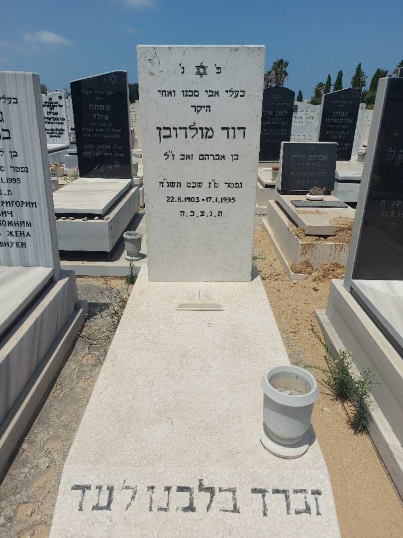 קברו של דוד מולדובין. תמונה 1