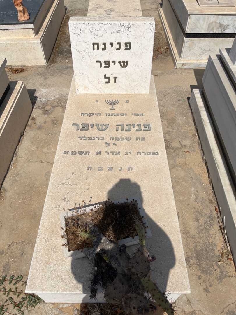 קברו של פנינה שיפר. תמונה 1