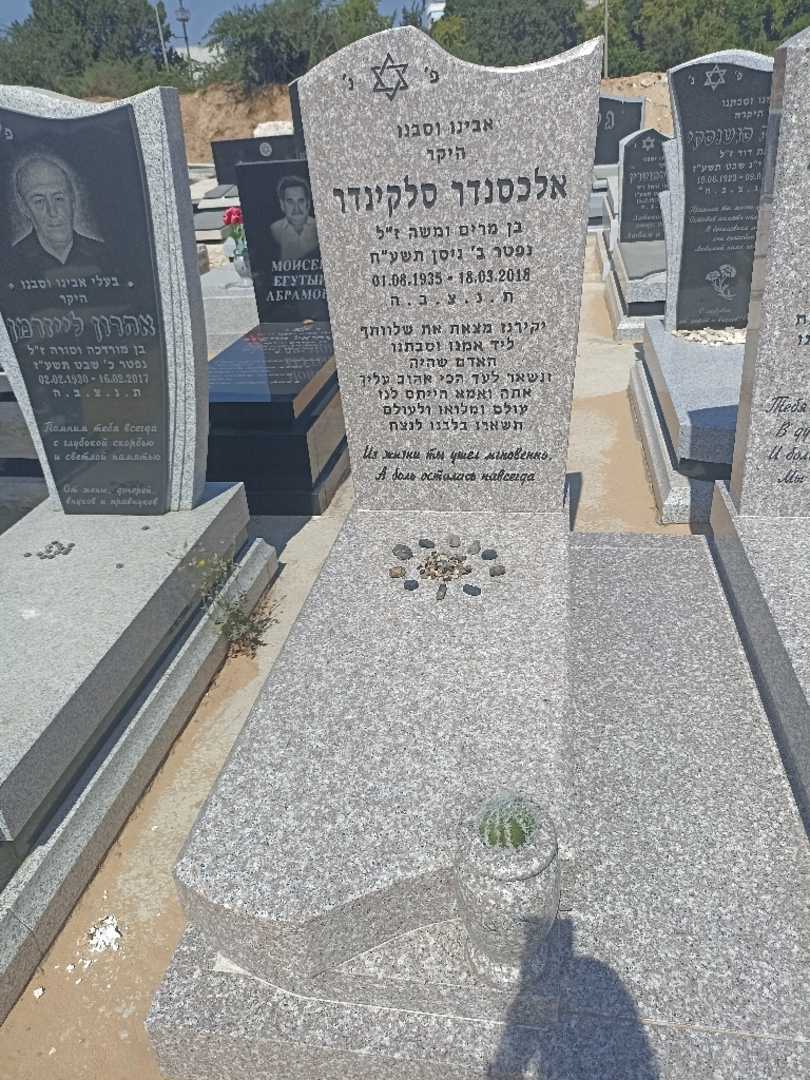 קברו של אלכסנדר סלקינדר. תמונה 2