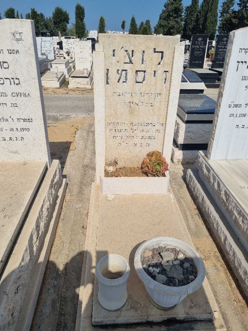 קברו של לוצ'י ויסמן. תמונה 1