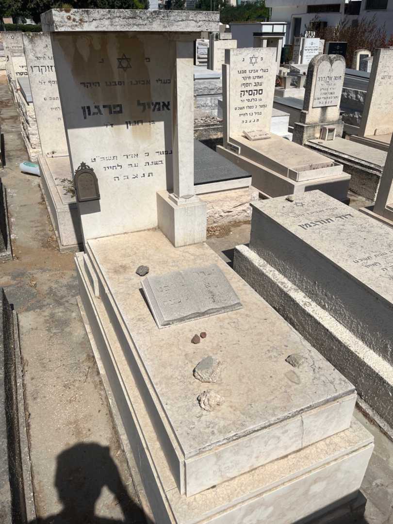 קברו של אמיל פרגון. תמונה 1