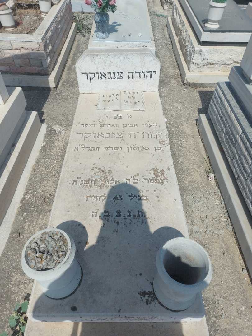 קברו של יהודה צנגאוקר. תמונה 1