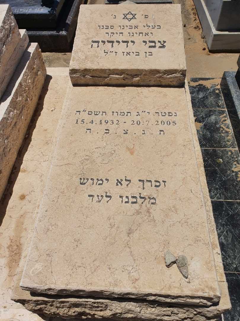 קברו של צבי ידידיה. תמונה 1