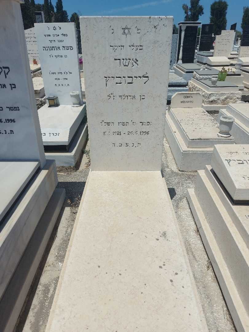 קברו של אשר לייבוביץ. תמונה 1