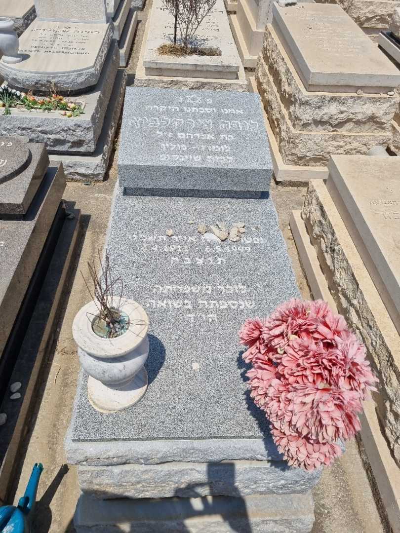 קברו של לובה "שיינקופ" צירקלביץ. תמונה 1