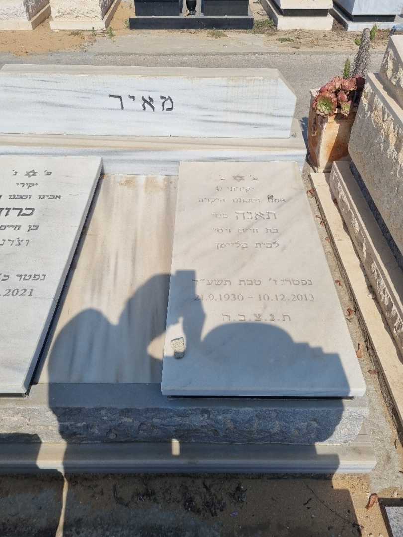 קברו של ברוך "טנזי" מאיר. תמונה 2