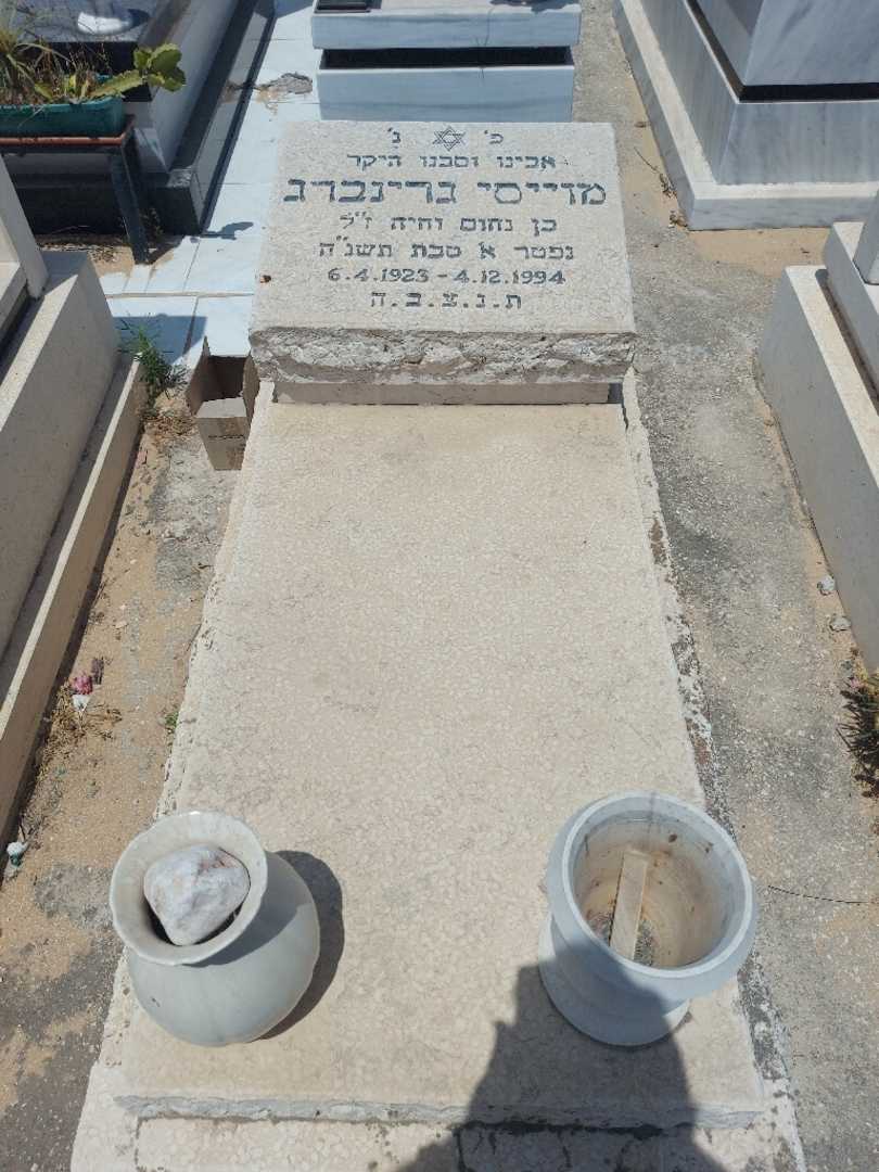 קברו של מויסי גרינברג. תמונה 1