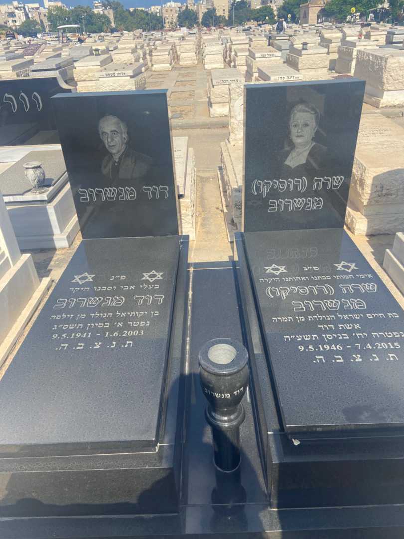 קברו של דוד מנשרוב. תמונה 1