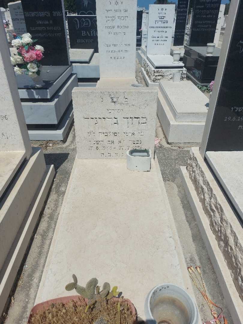 קברו של ברוך גרייניך. תמונה 1