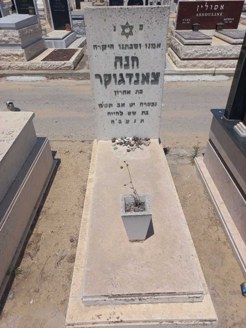קברו של חנה צאנגאוקר. תמונה 1