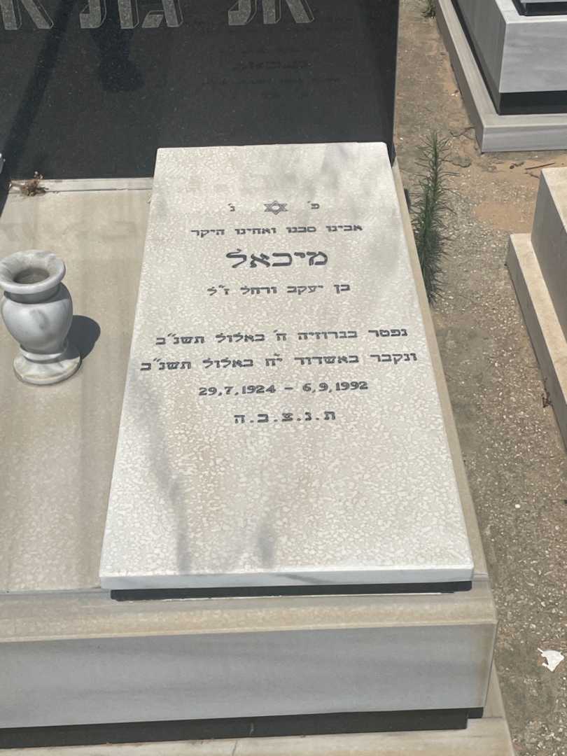 קברו של מיכאל אליגולשוילי. תמונה 2