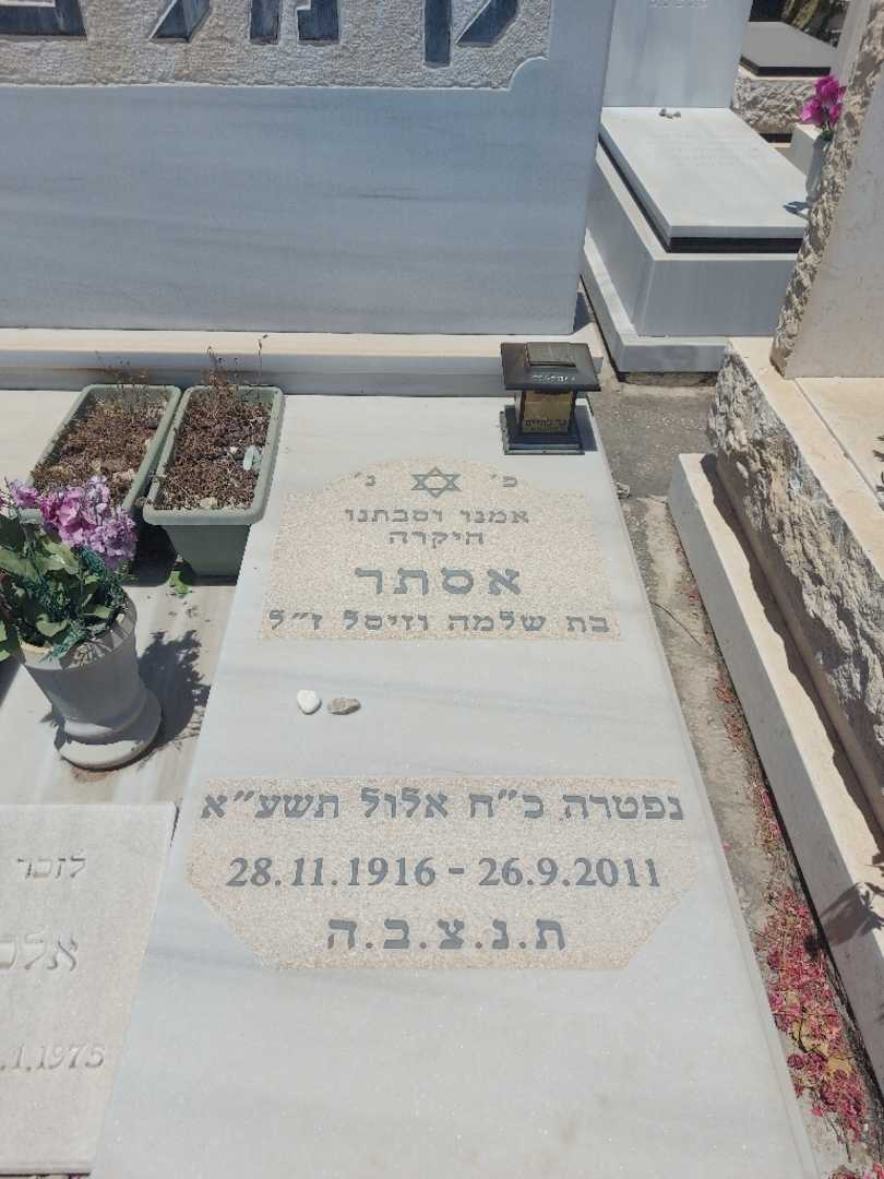 קברו של אסתר קימלפלד. תמונה 1