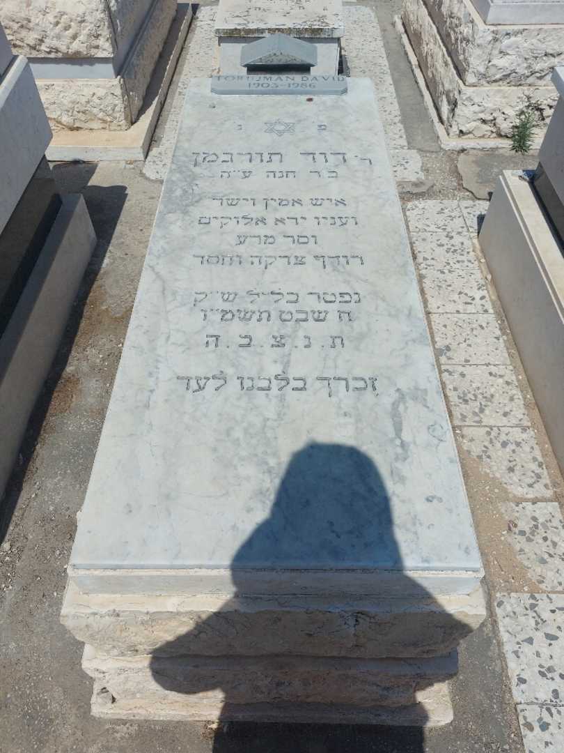 קברו של דוד טורגמן. תמונה 1