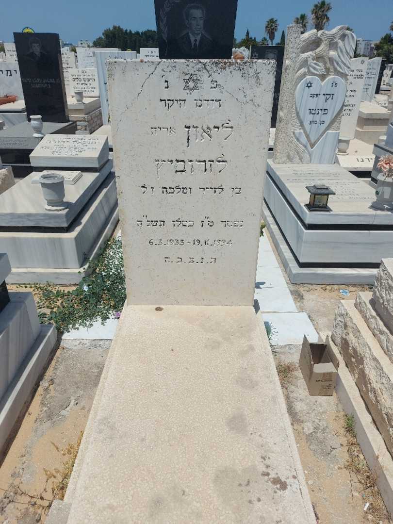 קברו של לאון "אריה" לזרוביץ. תמונה 1