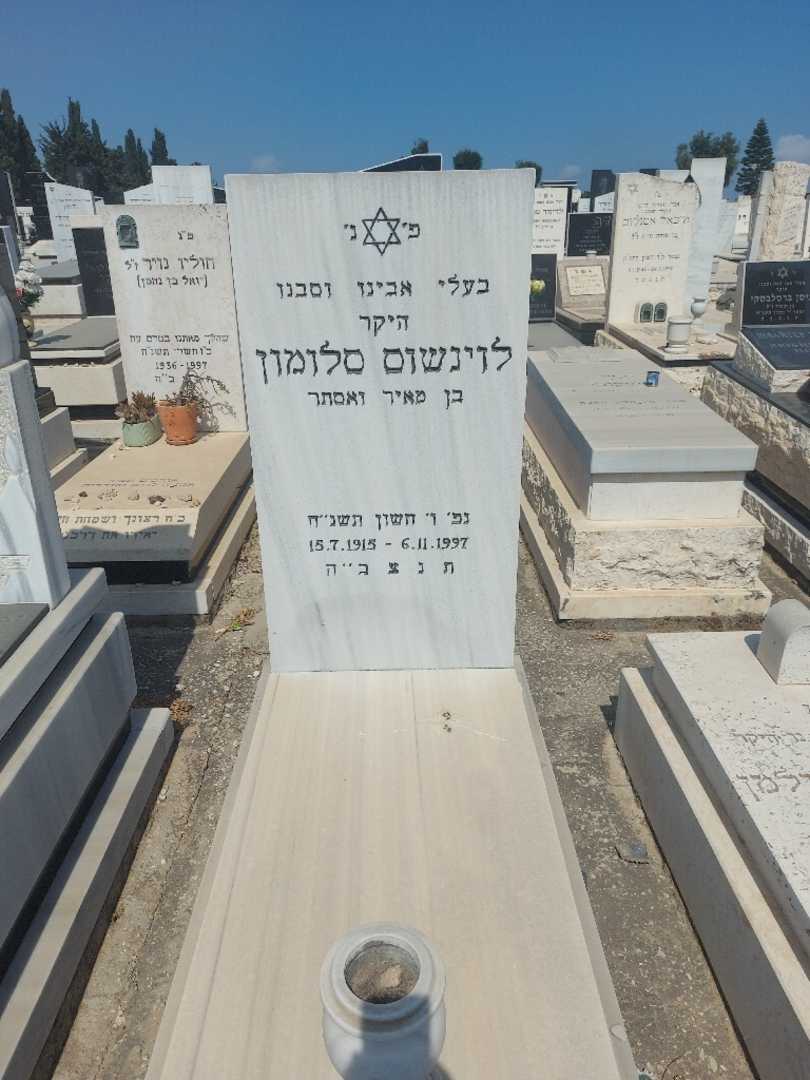 קברו של סלומון לוינשוס. תמונה 1