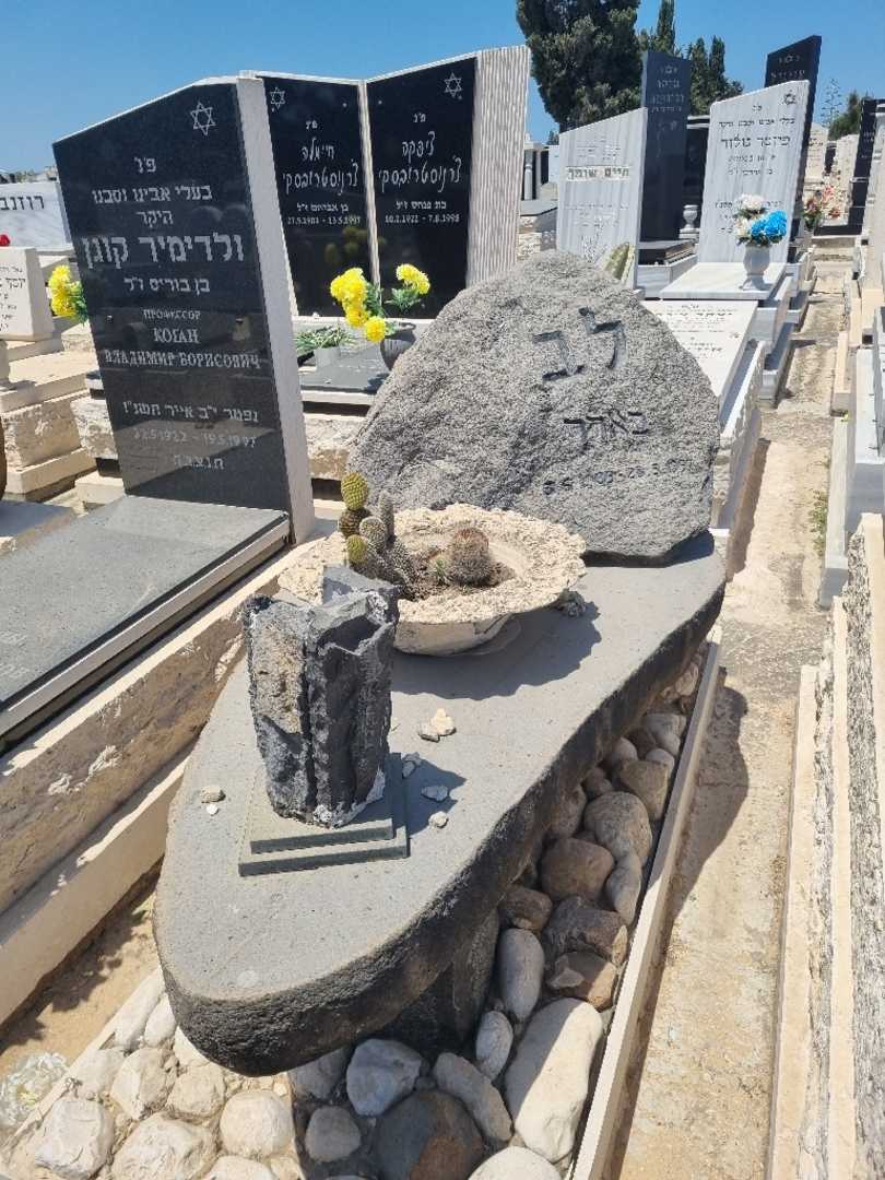 קברו של לב בארר. תמונה 1