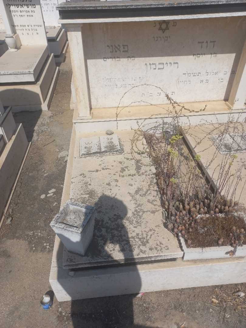 קברו של פייגה רייכמן. תמונה 1