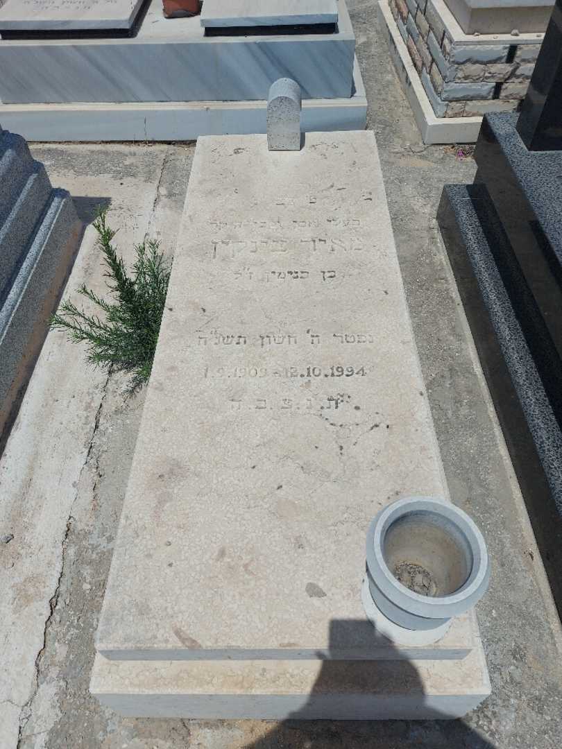 קברו של מאיר צינקין. תמונה 1