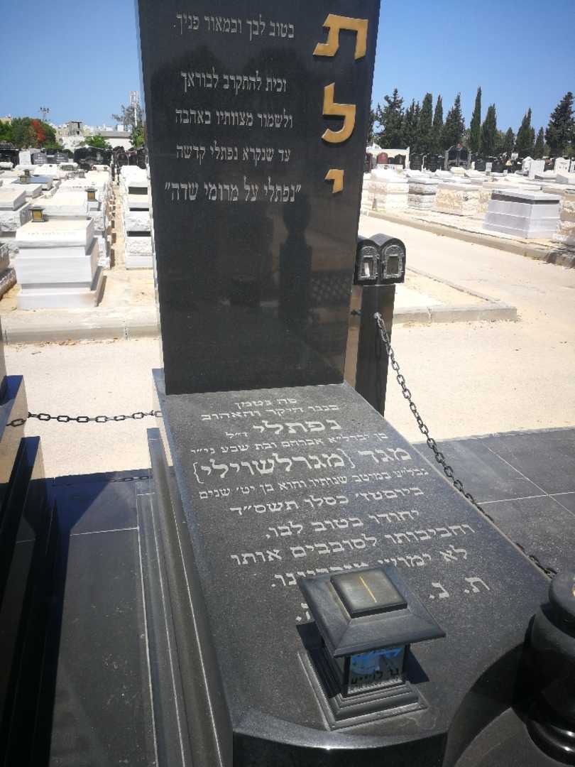 קברו של נפתלי "מגרלשוילי" מגד. תמונה 1