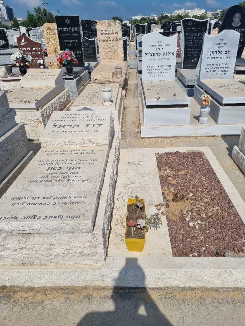 קברו של דוד הראל. תמונה 1