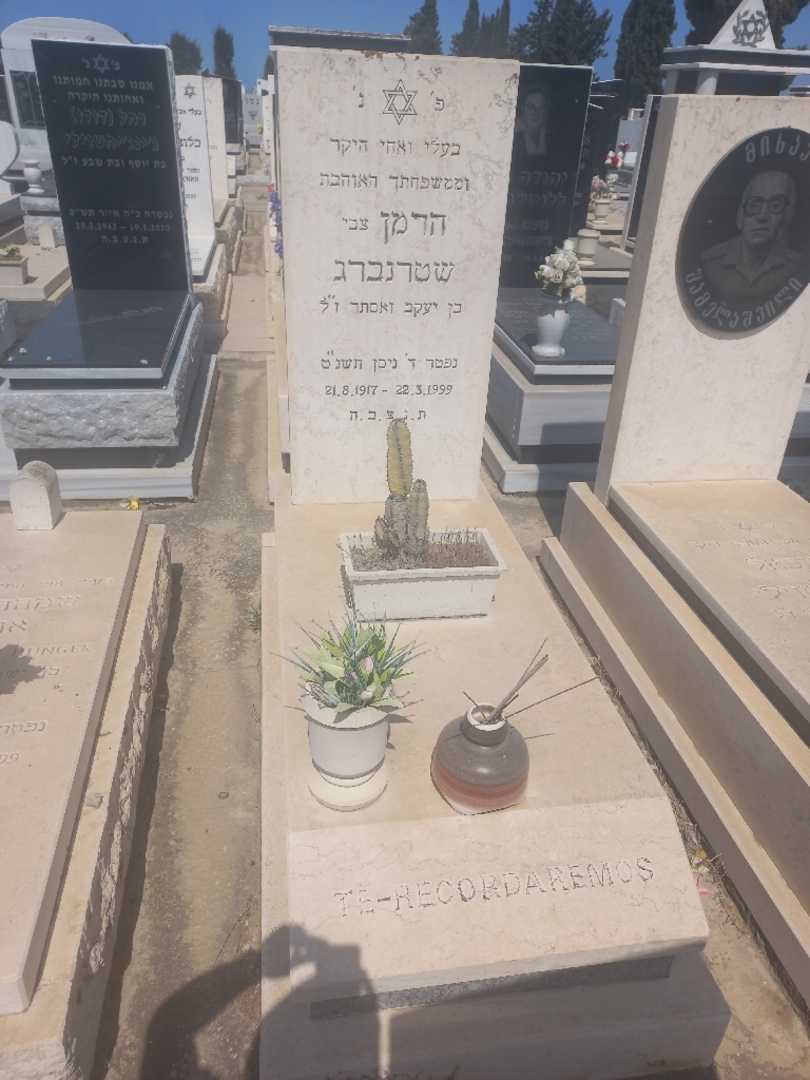 קברו של הרמן (צבי) שטרנברג. תמונה 1