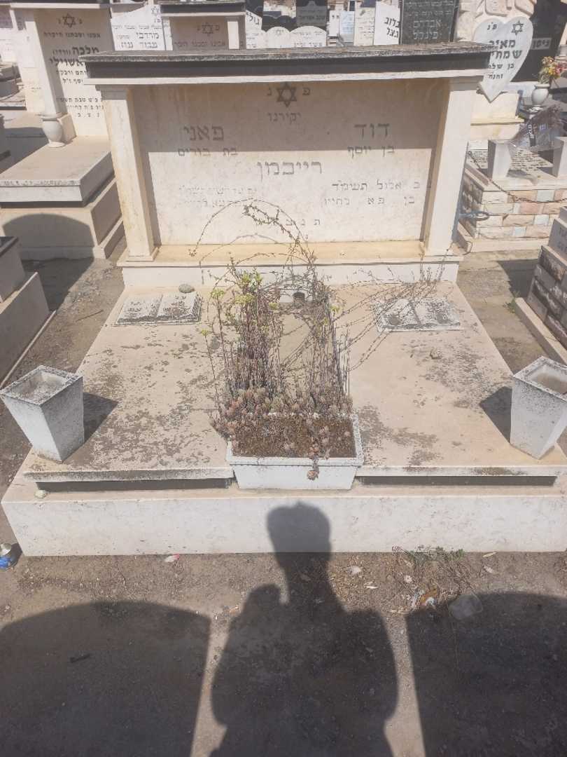 קברו של דוד רייכמן. תמונה 1