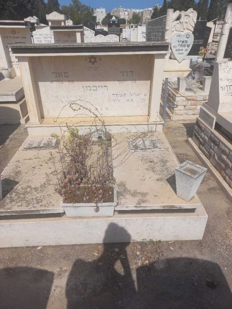 קברו של דוד רייכמן. תמונה 2