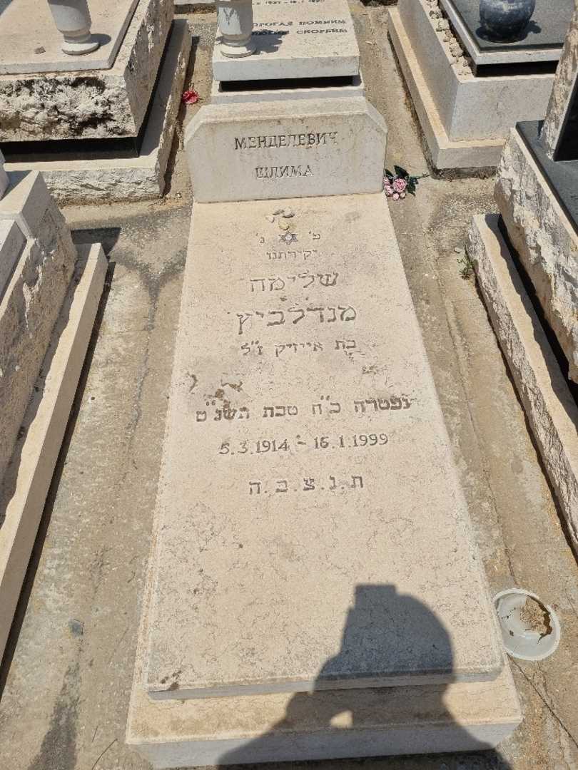 קברו של שלימה מנדלביץ. תמונה 1