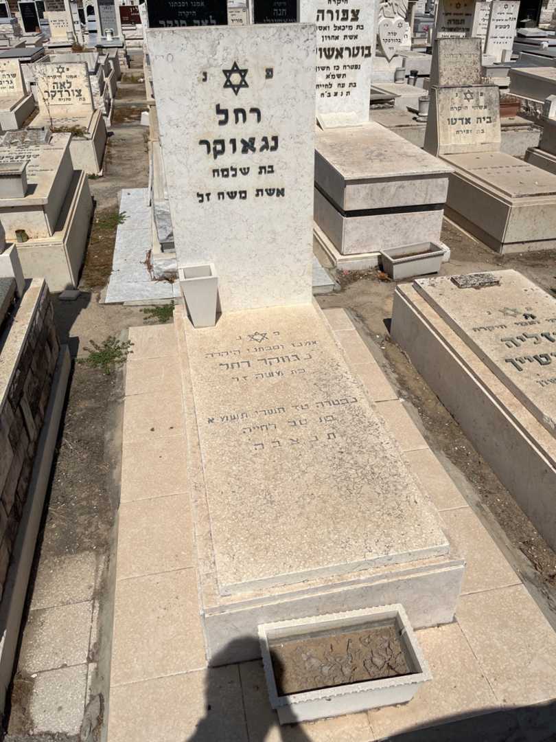 קברו של רחל נגאוקר. תמונה 1