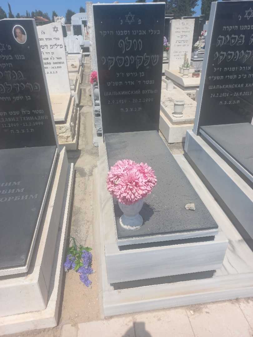 קברו של וולף שלקינסקי. תמונה 2