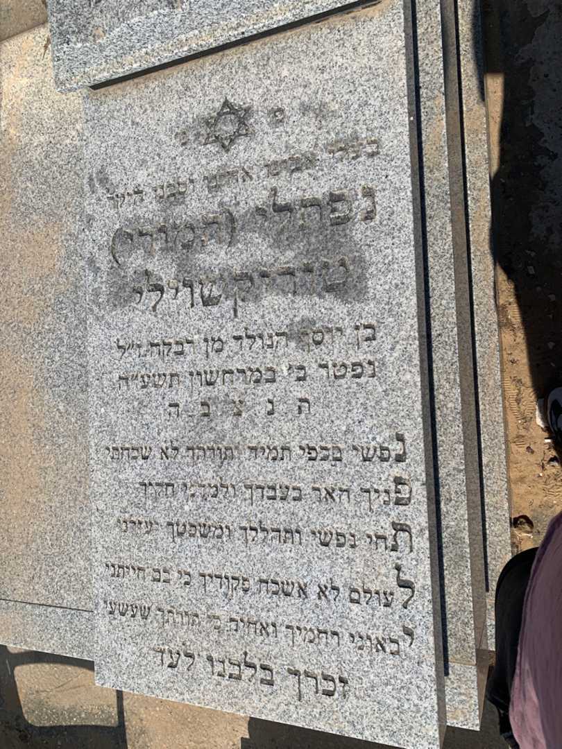 קברו של טיימורז "תמורי" טוריקשוילי. תמונה 3