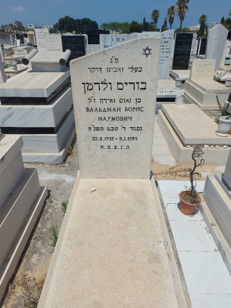 קברו של בוריס ולדמן. תמונה 1