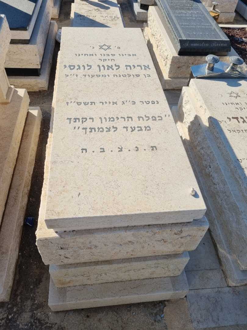 קברו של אריה ליאון לוגסי. תמונה 1